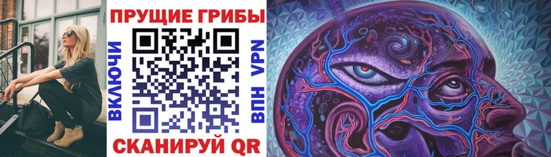 darknet клад Агидель Галлюциногенные грибы MAGIC MUSHROOMS закладки